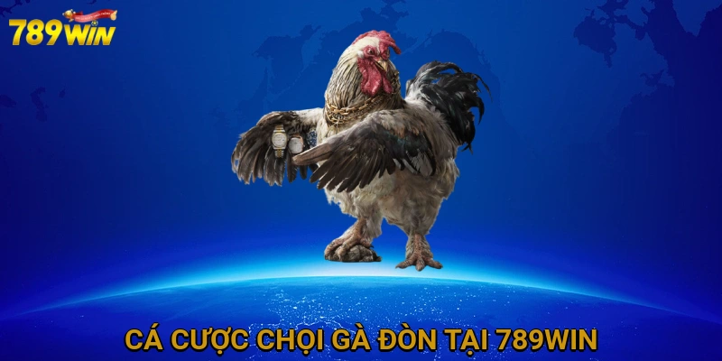 ca-cuoc-choi-ga-don-tai-789win